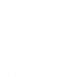 WeDeliver with Delivery Dudes